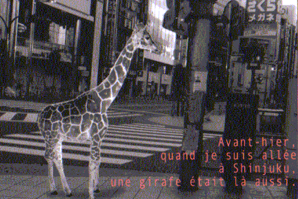 213.gif